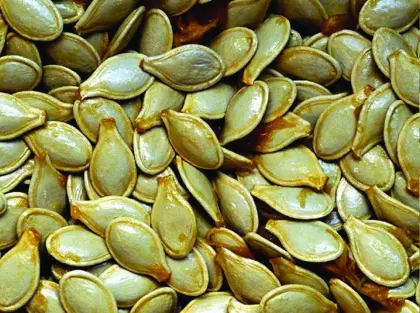Dry Chinese Pumpkin Seeds