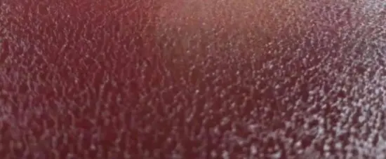 best price Matt wrinkle Color Coated coil