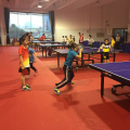 PVC Table tennis floor for Table Tennis