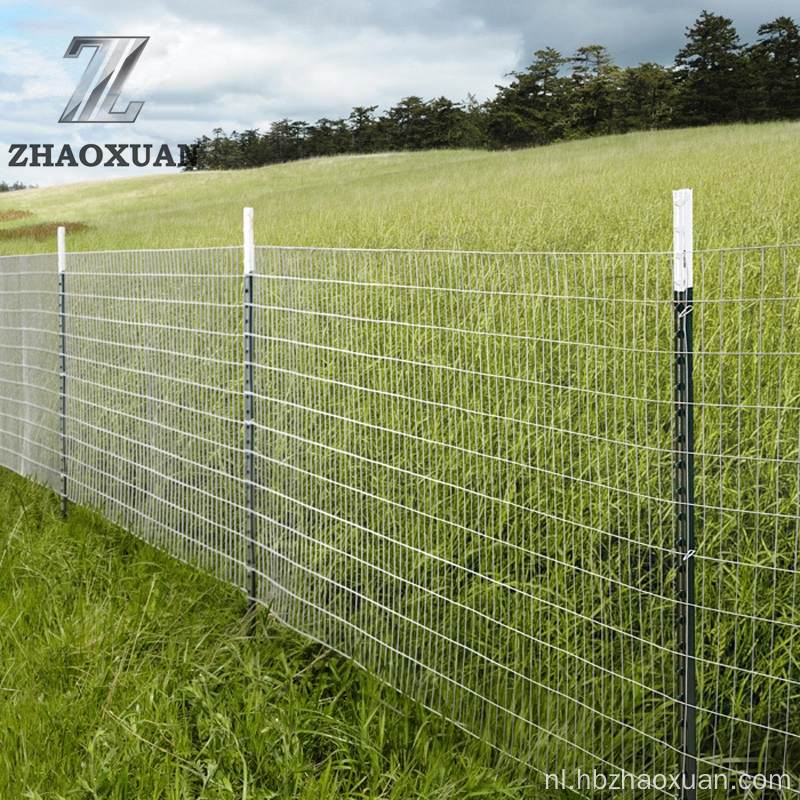 Gegalvaniseerde gelaste draadgaasrol