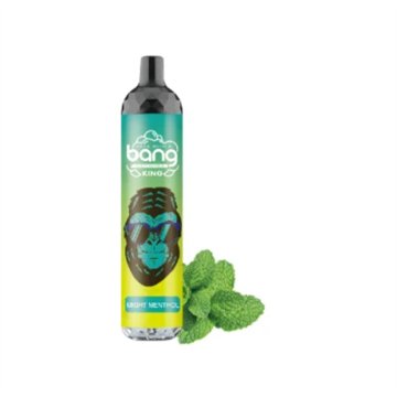 Taste Good Hot Bang king 6000 Disposable Vape