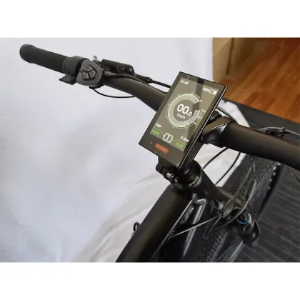 Central Motor Electric Bike with Dual Li-ion Batteries and Rosenberger Charger