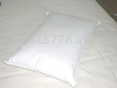 pillow core