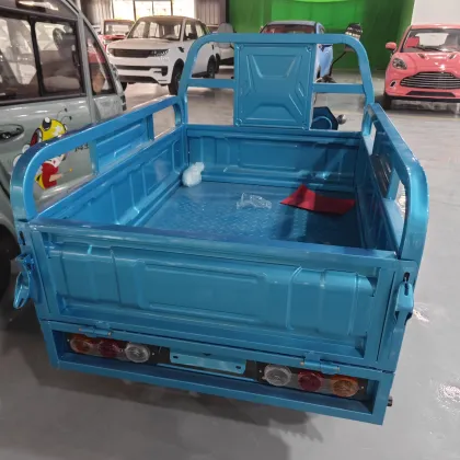 Adult Electric Cargo Tuk Tuk Tricycles - Price and Motorized Options
