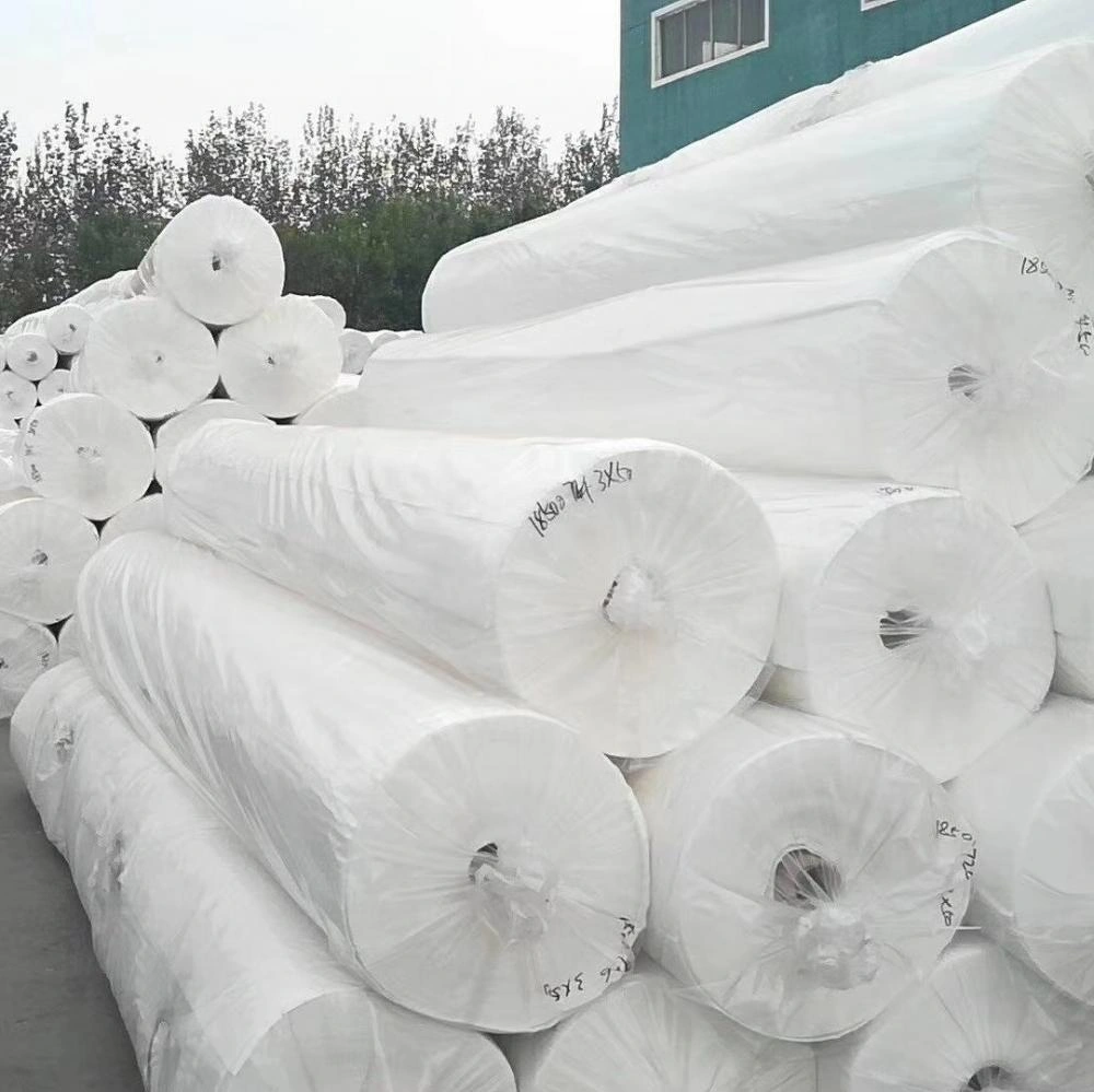 Contrôle de l'érosion de la Chine fournisseur tissu géotextile non