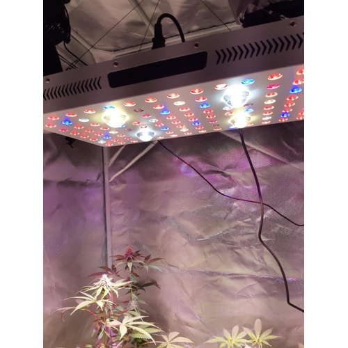 พลังงานจริง 630WATT COB 3000W GROW LIGHT