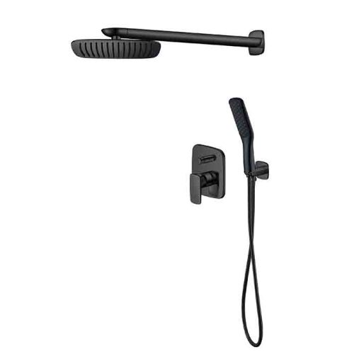 Shower With Hand Shower