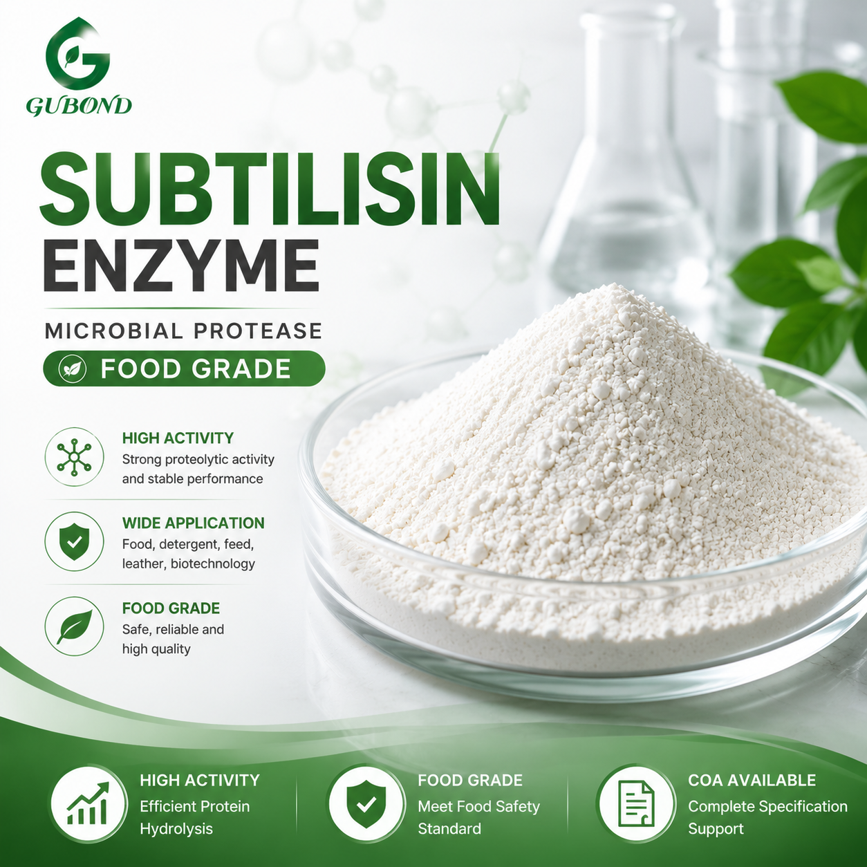 Subtilisin Enzyme