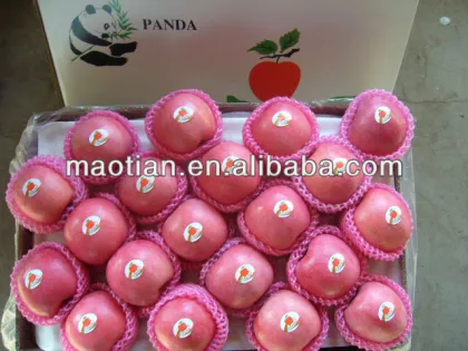 Yantai fuji apple