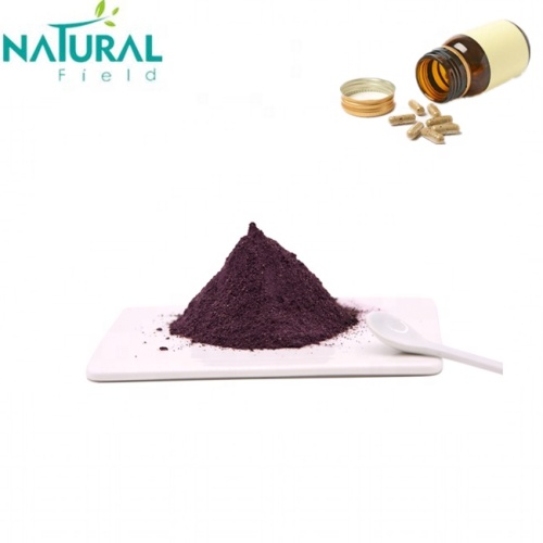 Hot Selling extract Black Anthocyanidins pure elderberry extract powder Supplier