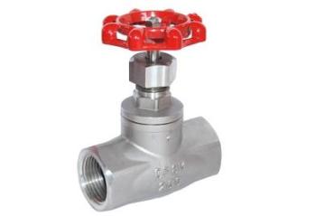 Stainless Steel Globe Valve