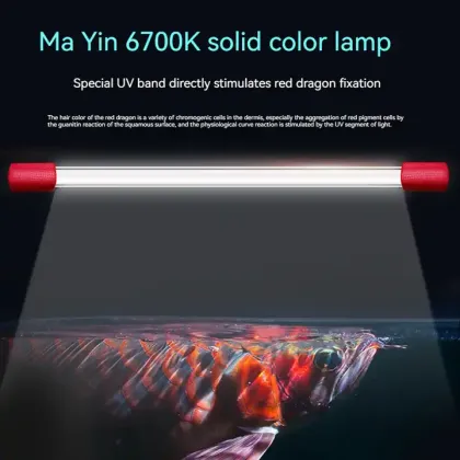Mayin Brand IP68 Arowana Tanning LED Aquarium Light: 6700K UV Magic Light for Dragon Fish Tanks