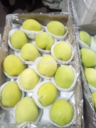 Shandong Pears