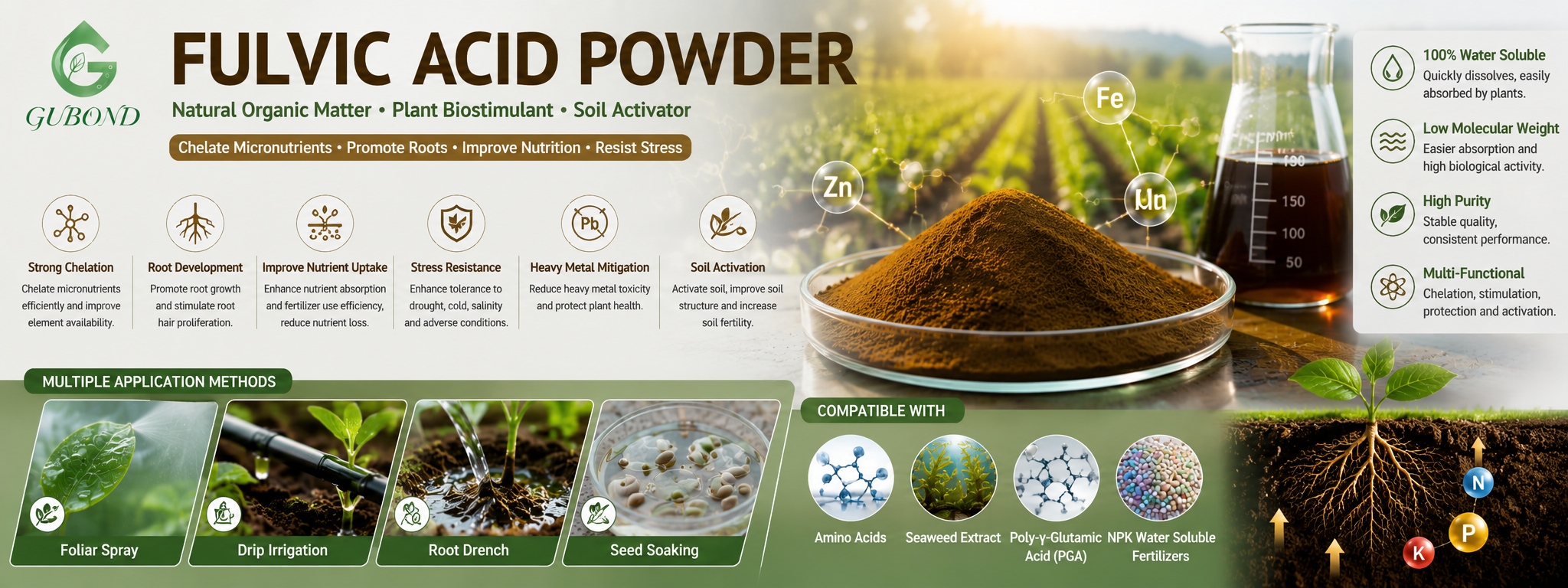 Fulvic Acid Powder (5)