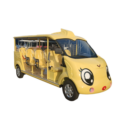 11-seat closed petrol sightseeing car