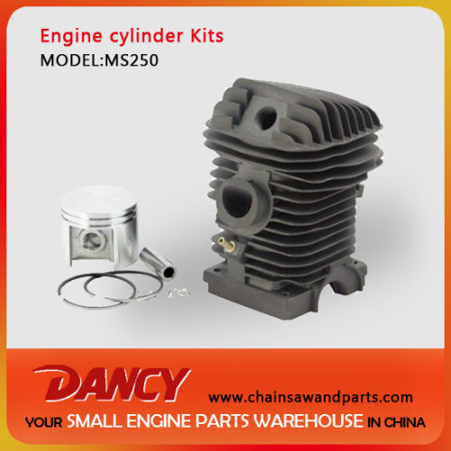 MS250 replacement cylinder kits