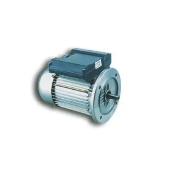 Ms Series Three-Phase Electric  Motor (MS)