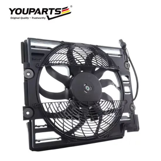 Youparts Radiator Fan for BMW E39 E38 528i (64546921946, 64548380781, 6908030, 6919057)
