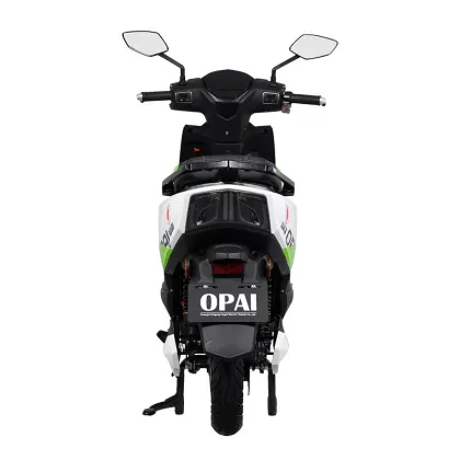 OPAI Electric Motorcycle Motor SAIKIL 1200W Enduro Adults Cruiser Motorcycles
