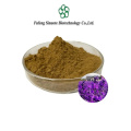 Premium Lavandula Angustifolia Extract for Aromatherapy and Skincare