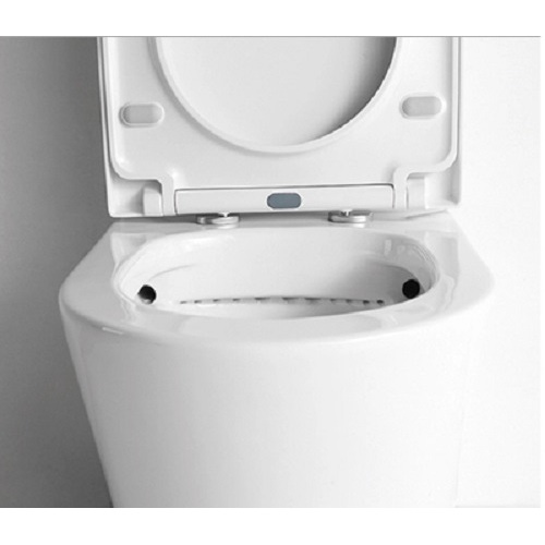 swim spa accessories Two Piece Intelligent Toilet Supplier