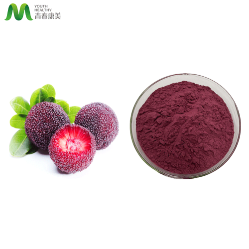 Waxberry Fruit Powder Food Raw Material Waxberry Fruit Juice Powder Manufactory