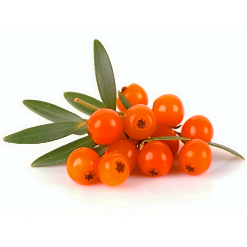 High-quality isorhamnetin powder 5%~98% of CNCSBIO