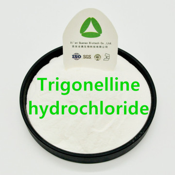 Trigonelline Hydrochloride 6138-41-6 Decrease Blood Sugar