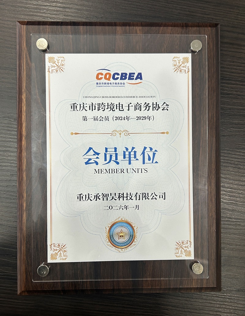 Leaders from Chongqing Cross-border E-commerce Association Visit Chengzhihao Technology for Guidance and Exchange