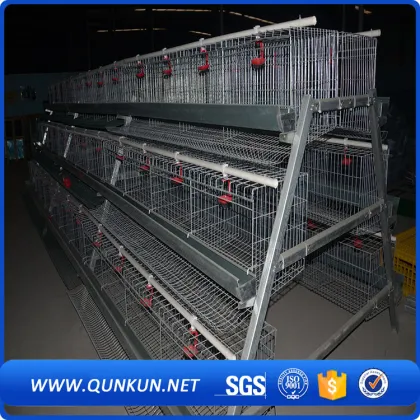 Automatic layer chicken cage chicken farm