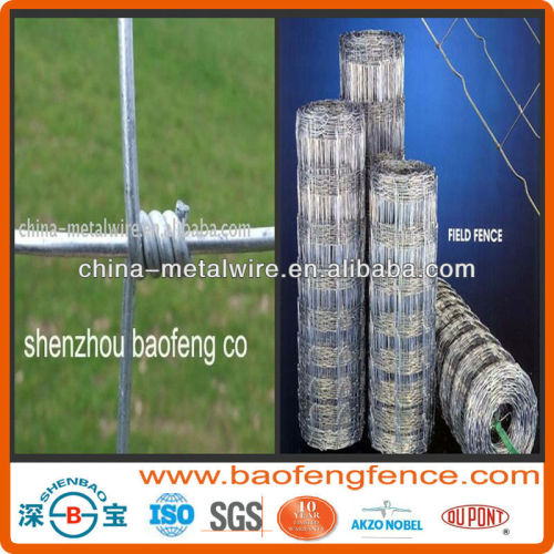 High Tensile Steel Hinge Joint Hot Dipped Galvanized Field Fence For Farm,Forest ,Road Safety ( Factory Exporter)