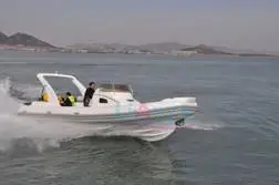Rib Boat,Rigid Inflatable Boat,Power Boat ,Yacht 8.3m/27inch with CE