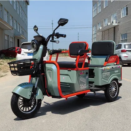 three wheeled electric trike