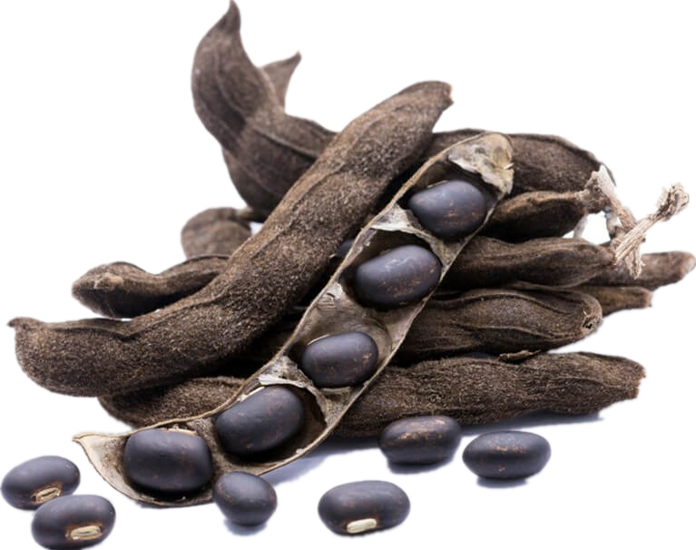 Mucuna Pruriens Extract: Health Benefits