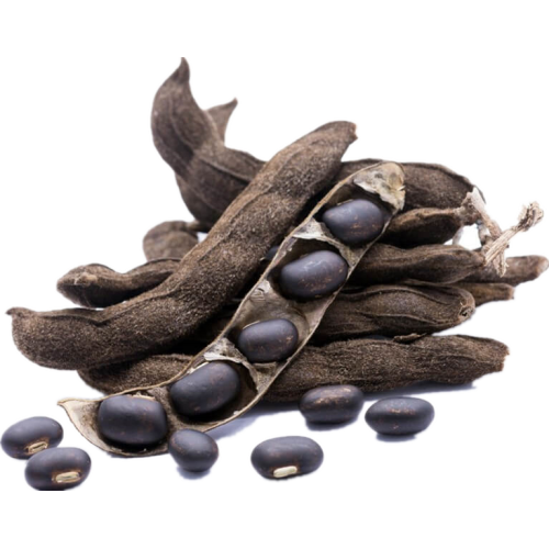 Plant Extract Mucuna Pruriens Extract