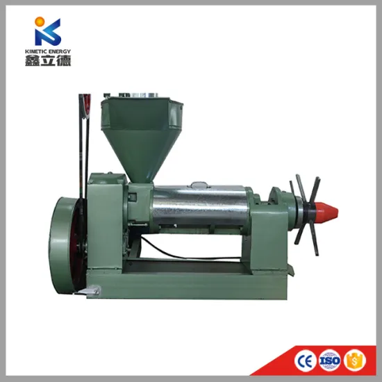 6yl Canola Automatic Spiral Cold Copra Oil Presser Expeller Mill Mustard Screw Oil Press Machine