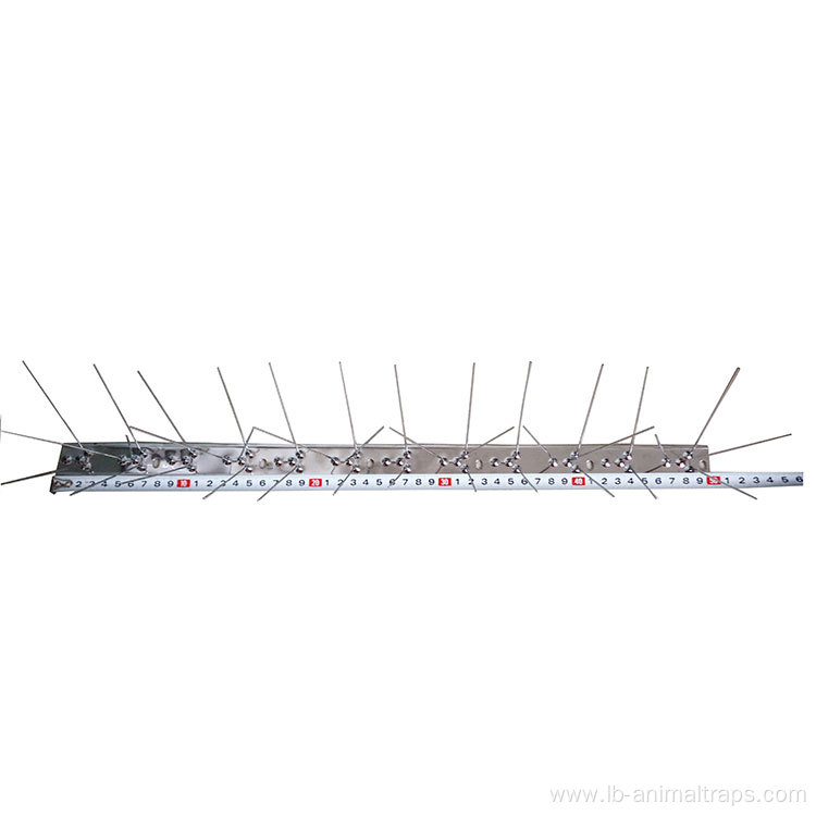 Stainless Steel Deterrent Bird Spikes Plastic Pest