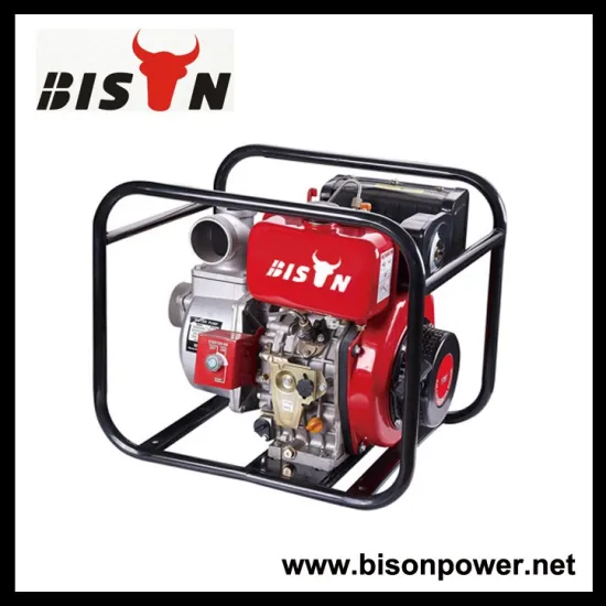 BISON(CHINA) 4 Inch Diesel Water Pump Electric Water Pumps