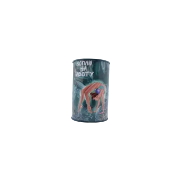 Metal Can Packaging Round Tin Coin Can