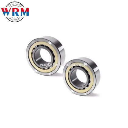 Rollers Bearings Nu1005 Cylindrical Roller Bearing