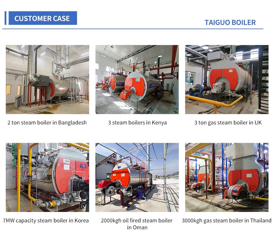 oilgas fired boiler (1)