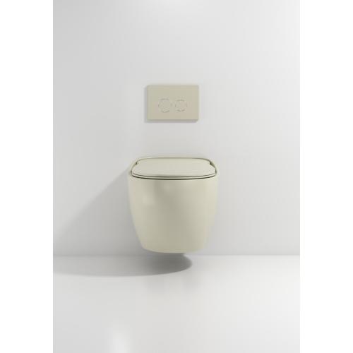 Ceramic Wall Hung Toilet with Certification