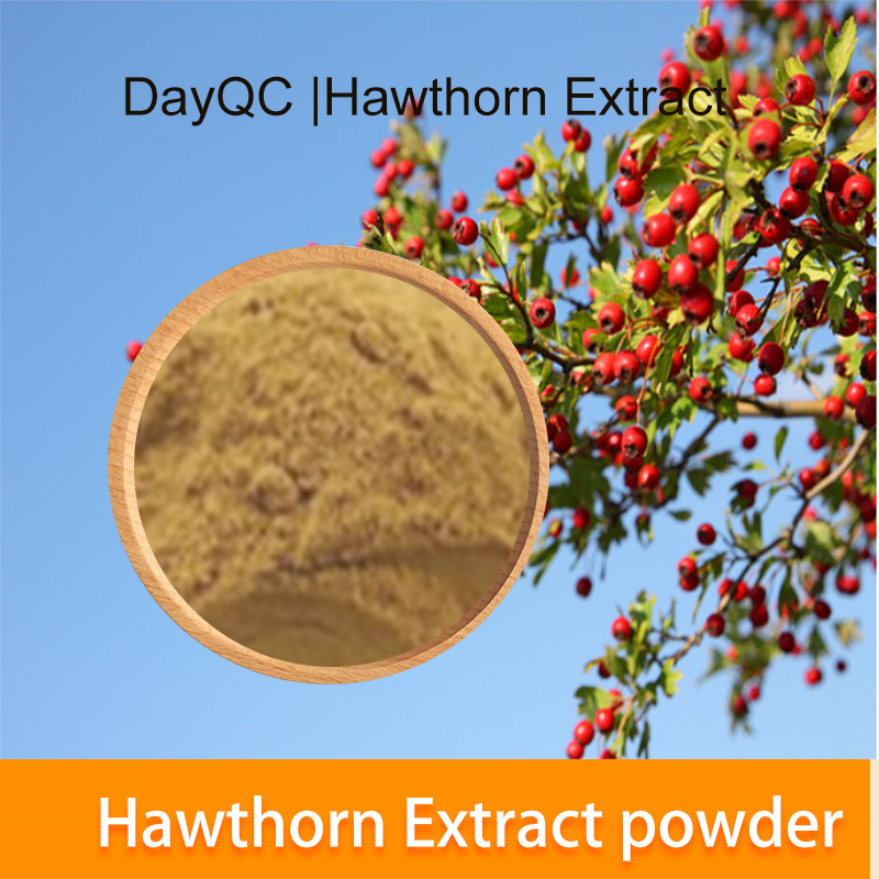 Hawthorn Extract Hawthorn Powder 10: 1