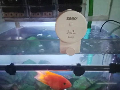 Wholesale Sobo Da-08 Auto Food Timer Aquarium Automatic Feeder
