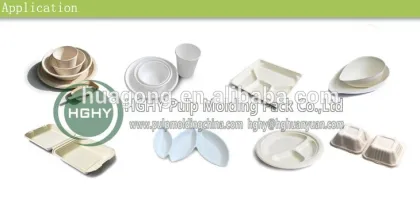 HGHY full automatic pulp thermoforming disposable paper tableware machine