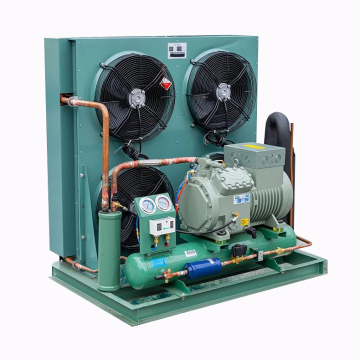 Two-Stage BIZZER Semi-Enclosed Piston Compressor R404a Refrigeration Condensing Units: Specifications and Features