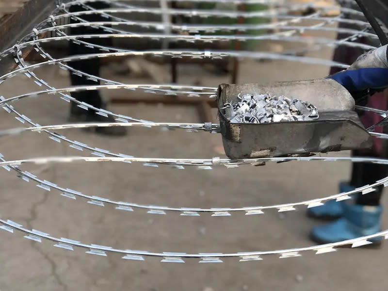 razor wire flat wrap5