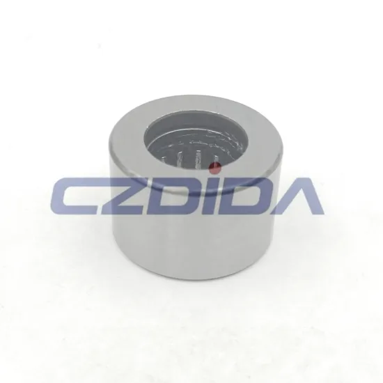 High Quality Needle Roller Clutch Pilot Bearing for Automobile - 14061685