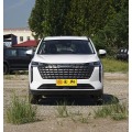 2024 Haval H6 Pro Edition 1.5T Platinum
