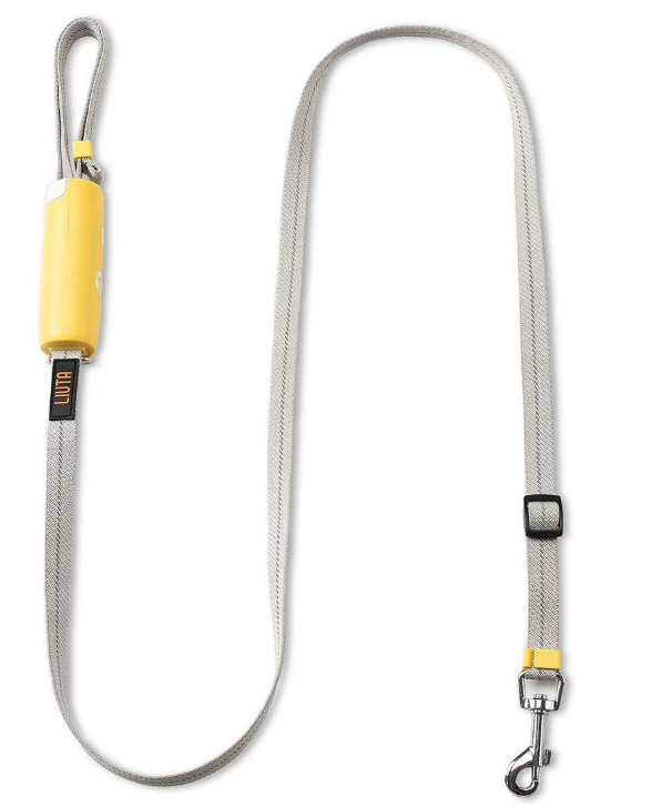 Dog Leash with Buckle Handle